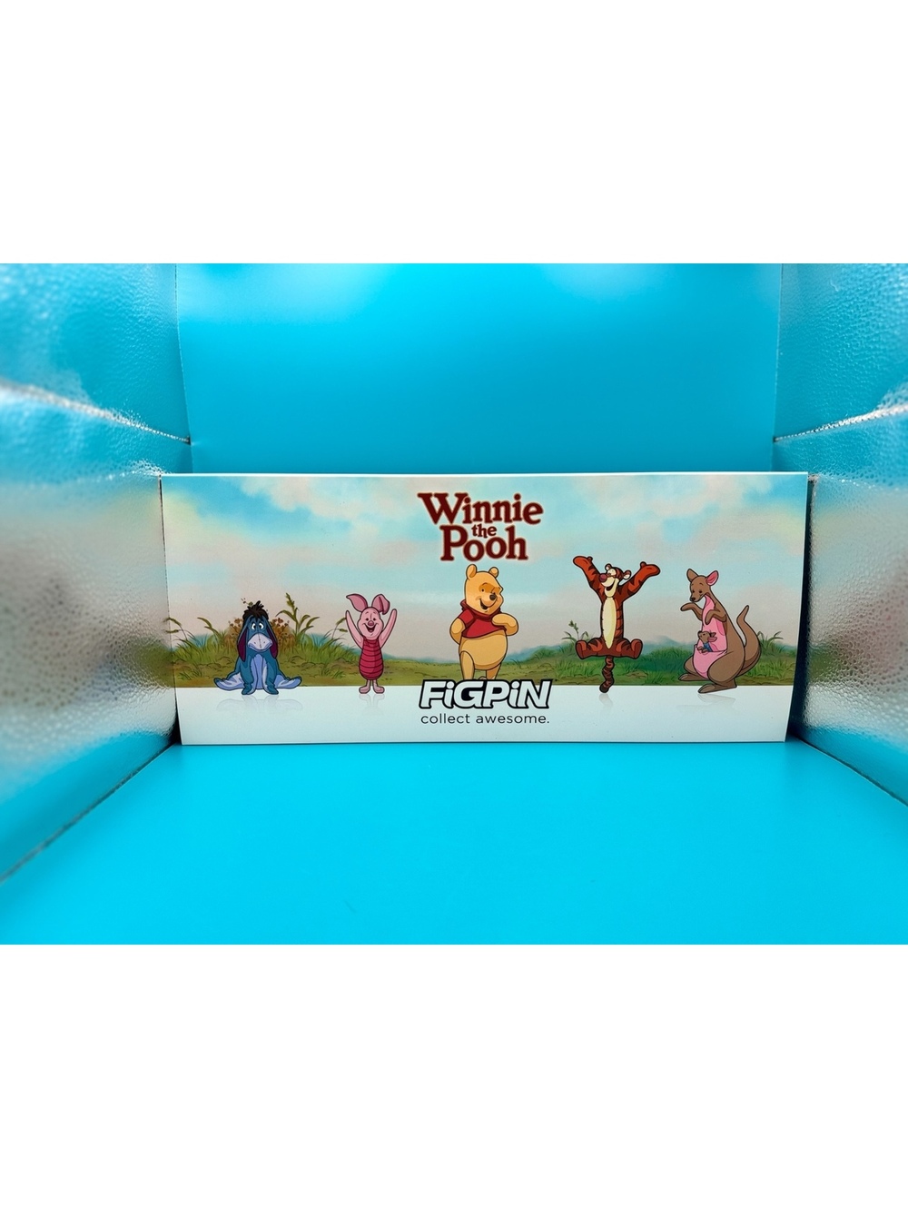 Limited Edition Disney Winnie the Pooh FiGPiN Deluxe Box Set (500 Pieces)